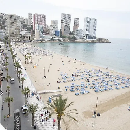 Veracruz Alquilevante *