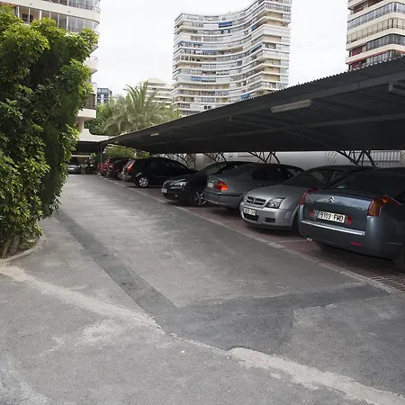 Veracruz Alquilevante *